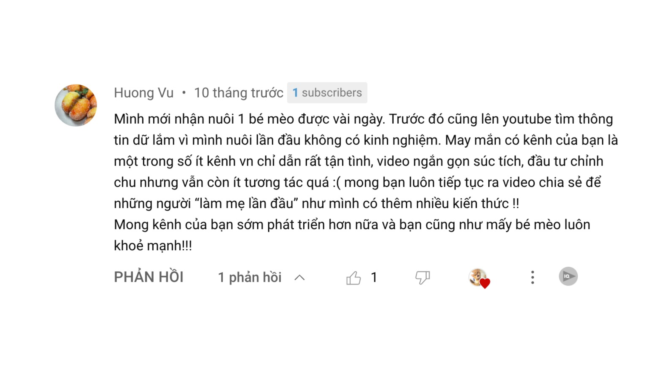 Mèo Ham Chơi Website Youtube Review1