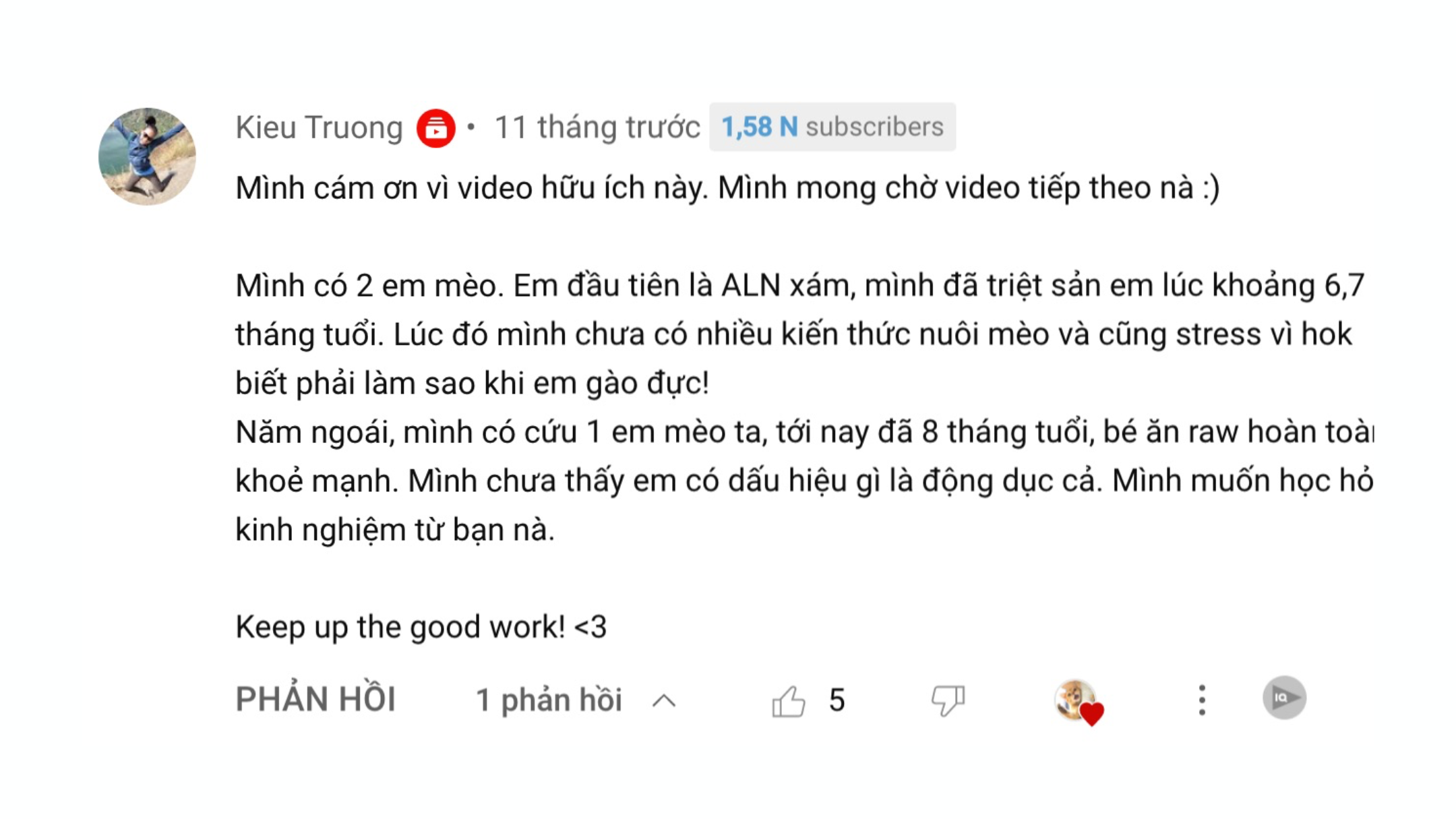 Mèo Ham Chơi Website Youtube Review2