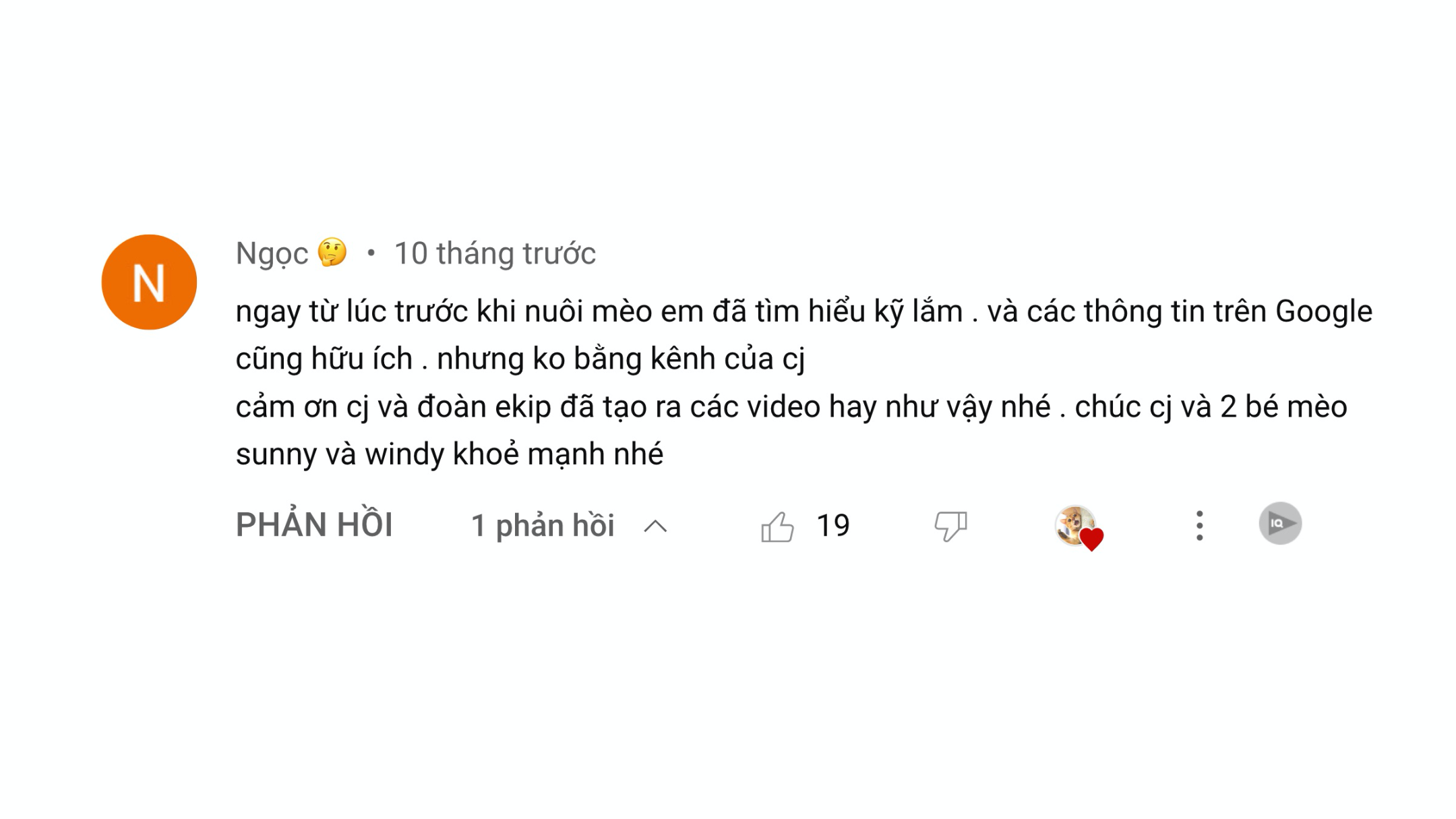 Mèo Ham Chơi Website Youtube Review3