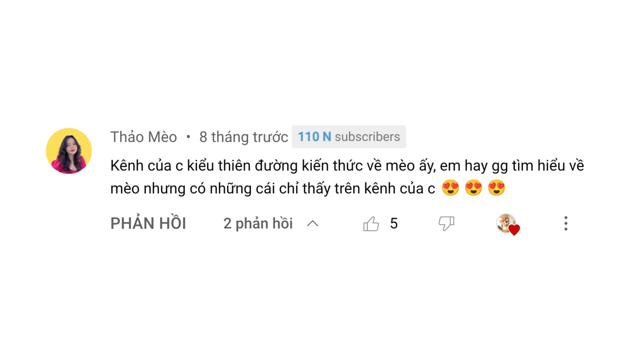 Mèo Ham Chơi Website Youtube Review4