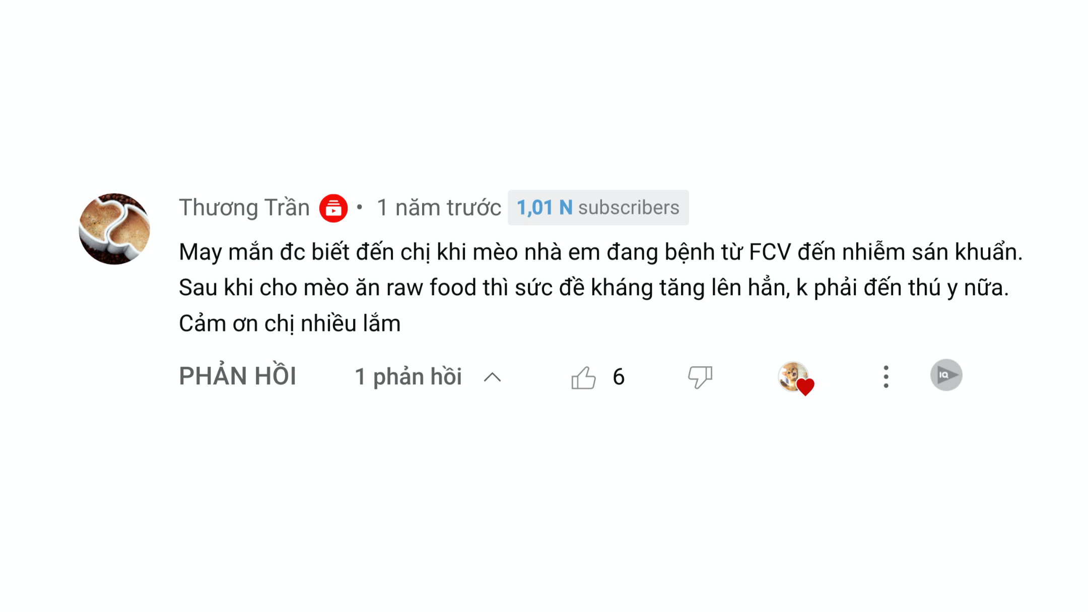 Mèo Ham Chơi Website Youtube Review6