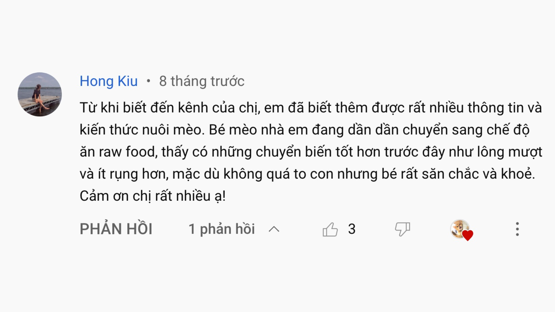 Mèo Ham Chơi Website Youtube Review7