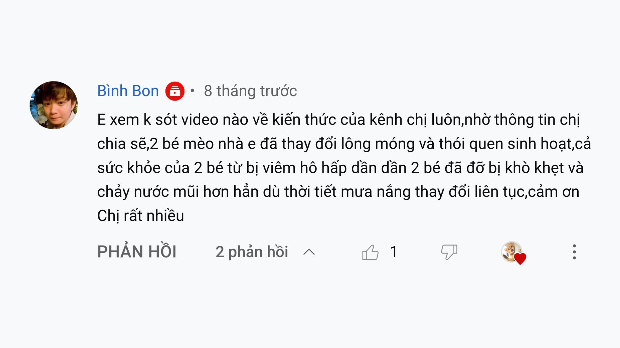 Mèo Ham Chơi Website Youtube Review8