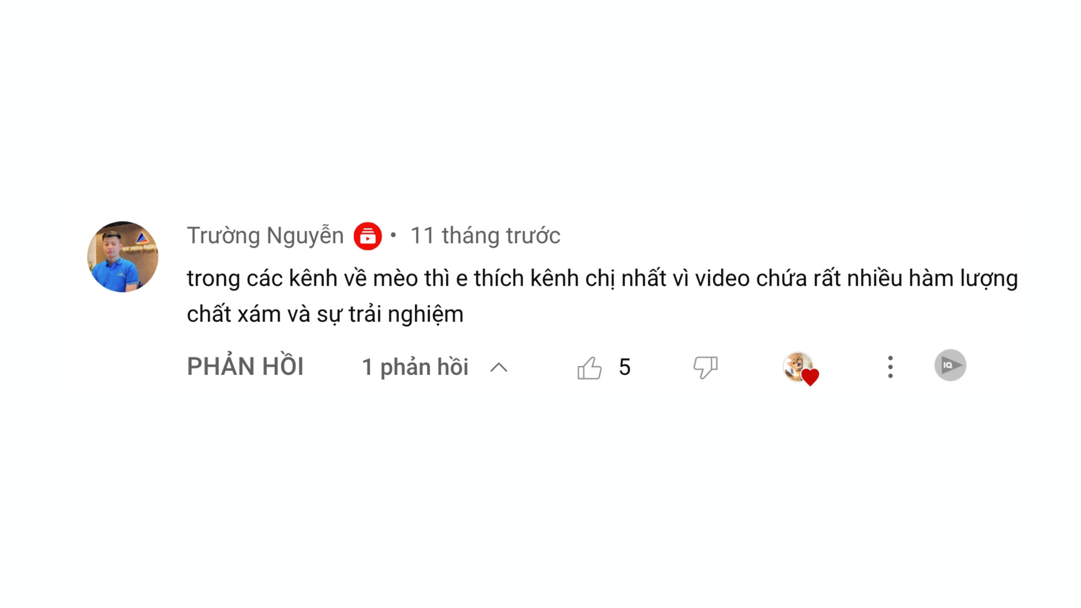 Mèo Ham Chơi Website Youtube Review9